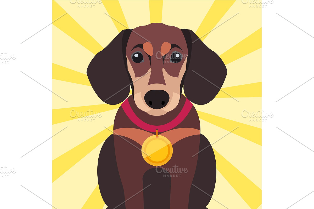Brown Dachshund Close-up with Gold in Illustrations - product preview 8