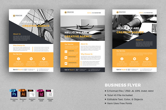 Business Flyer Bundle in Flyer Templates - product preview 8