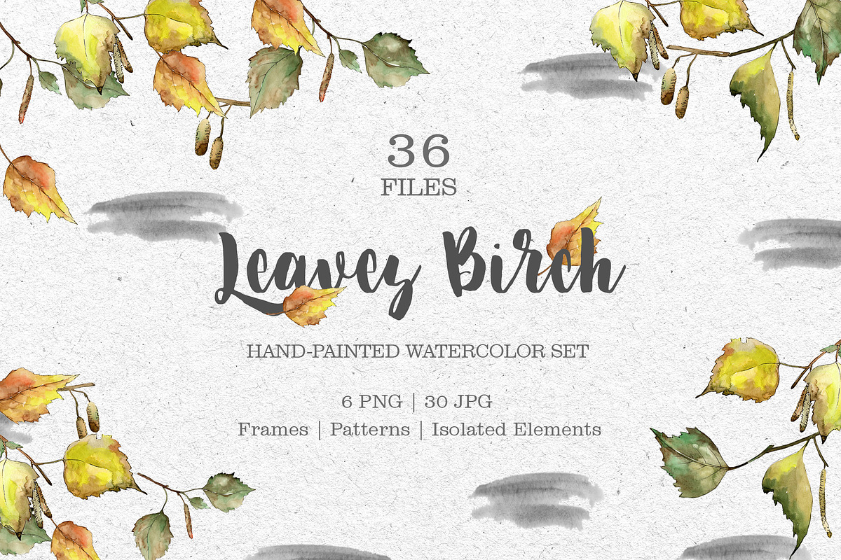Leaves Birch Watercolor png in Illustrations - product preview 8