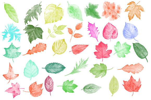 Watercolor Leaf Photoshop Brushes in Photoshop Brushes - product preview 1