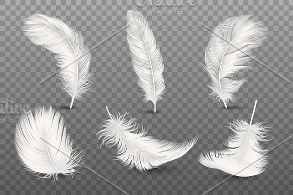 Falling Fluffy Twirled Feather.  in Illustrations - product preview 1