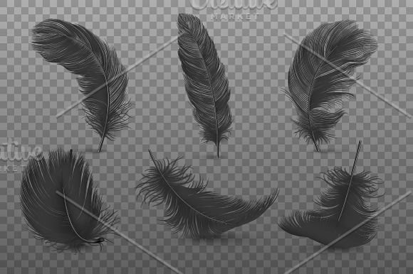 Falling Fluffy Twirled Feather.  in Illustrations - product preview 2