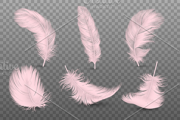 Falling Fluffy Twirled Feather.  in Illustrations - product preview 3