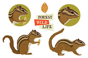 Chipmunk Forest Wildlife set