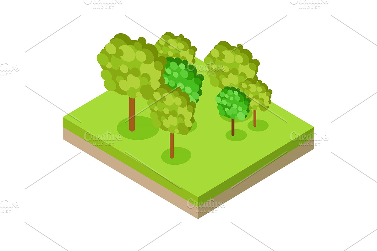 Forest or Park Fragment in Isometric in Illustrations - product preview 8
