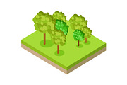 Forest or Park Fragment in Isometric