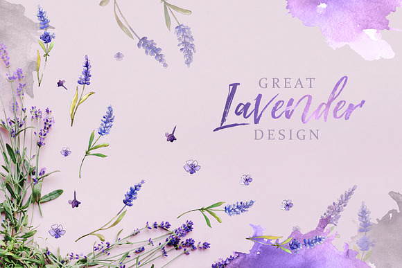 Lavender Watercolor png in Illustrations - product preview 5