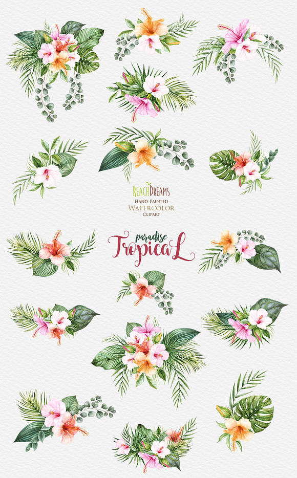 Tropical watercolor collection in Illustrations - product preview 1