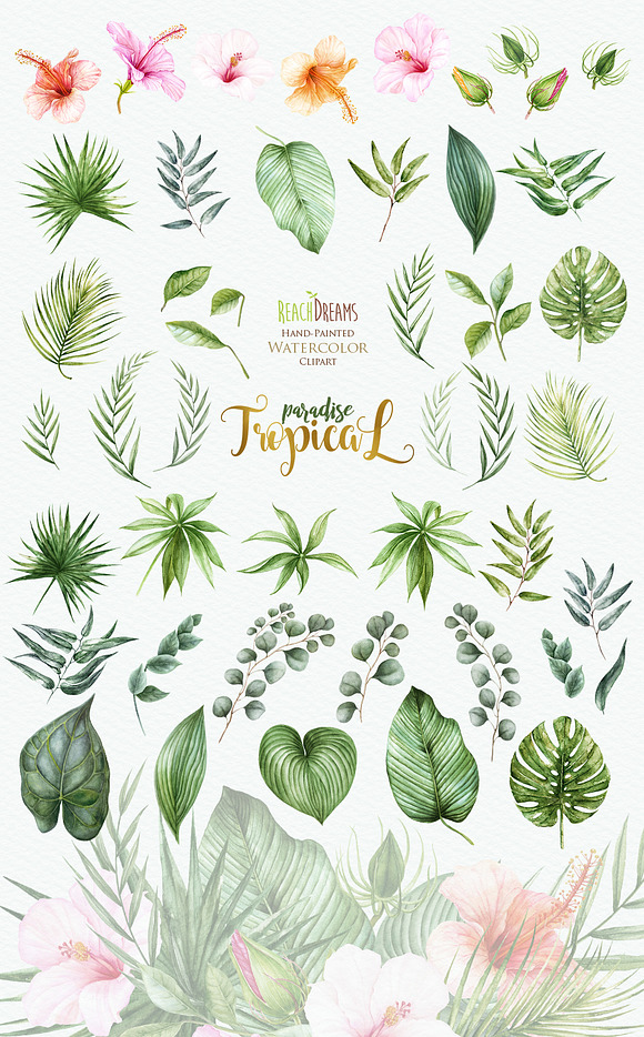 Tropical watercolor collection in Illustrations - product preview 2