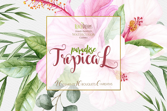 Tropical watercolor collection in Illustrations - product preview 5