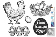 Free range eggs set