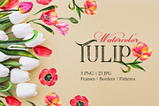 Tulip red Watercolor png