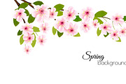 Spring nature background with sakura