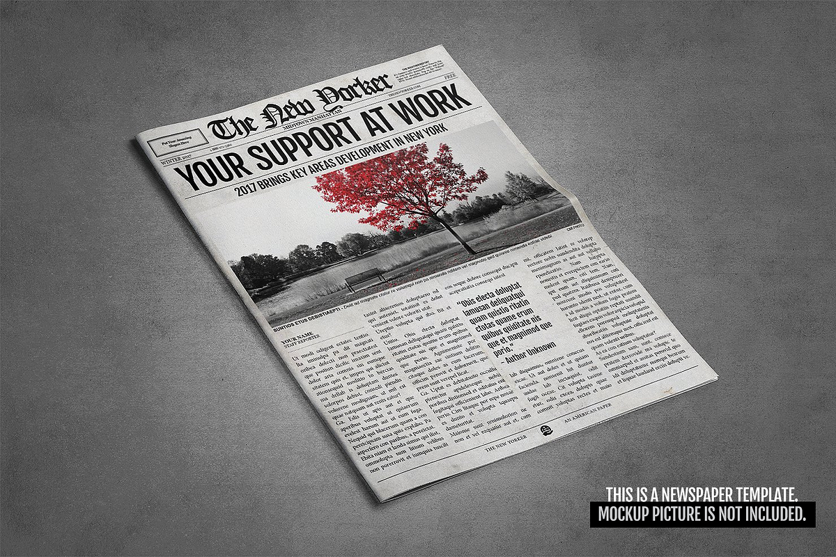 2x1 Page Newspaper Template Indesign Creative Flyer Templates