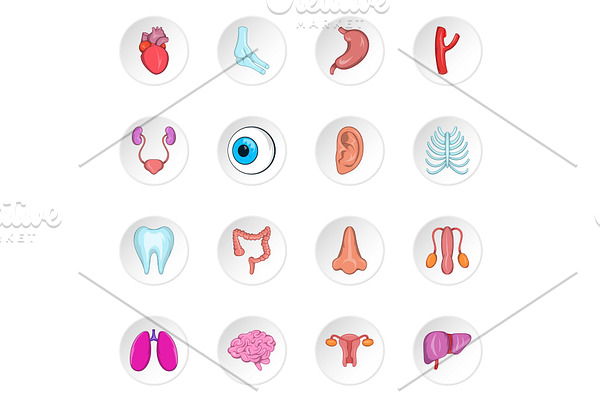 Human organ icons, cartoon style