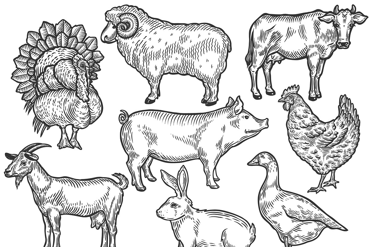 Farm animal set illustration in Illustrations - product preview 8