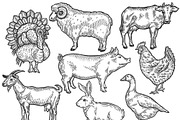 Farm animal set illustration