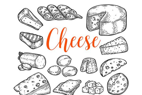 Cheese set illustration
