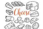 Cheese set illustration