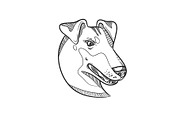 Manchester Terrier Head Drawing