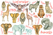 African animals collection. 15 items