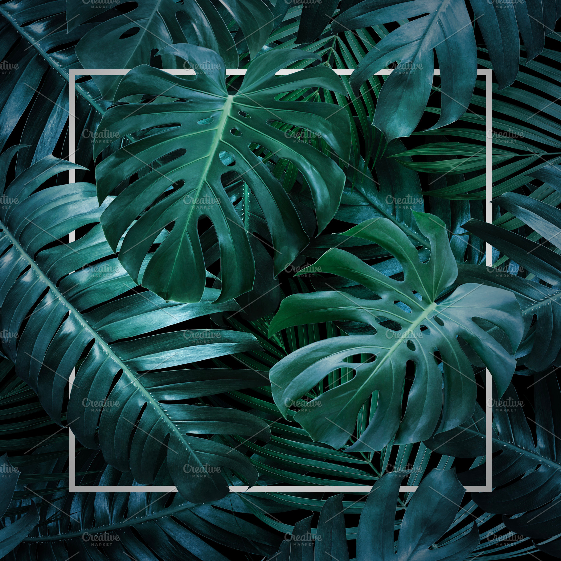 Summer tropical leaves background ~ Nature Photos ~ Creative Market