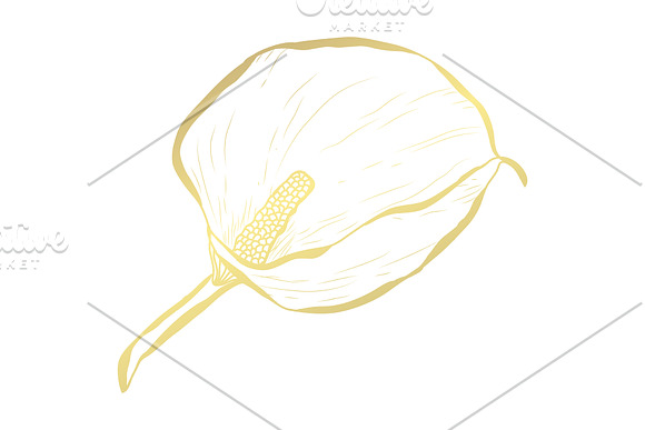 Golden Calla Card Template in Postcard Templates - product preview 1