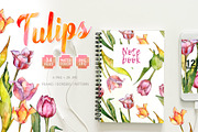 Tulips for Love  Watercolor png 