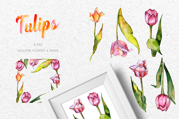 Tulips for Love  Watercolor png  in Illustrations - product preview 4
