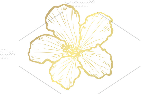 Golden Hibiscus Card Template in Postcard Templates - product preview 1