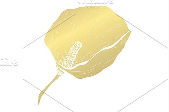Golden Calla Card Template in Postcard Templates - product preview 1