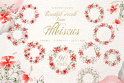 Hibiscus Watercolor png 