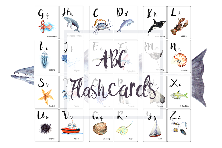 ABC Ocean Flashcards / Banner in Illustrations - product preview 8
