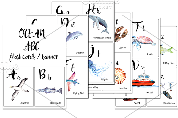 ABC Ocean Flashcards / Banner in Illustrations - product preview 1