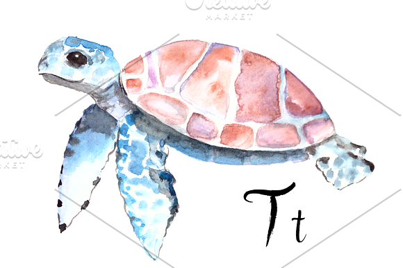 ABC Ocean Flashcards / Banner in Illustrations - product preview 3