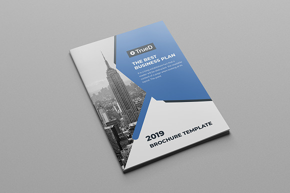 Bi Fold Brochure in Brochure Templates - product preview 4