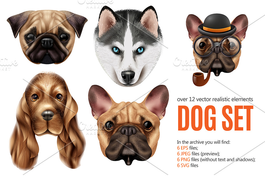Dog Portraits Realistic Set in Illustrations - product preview 8