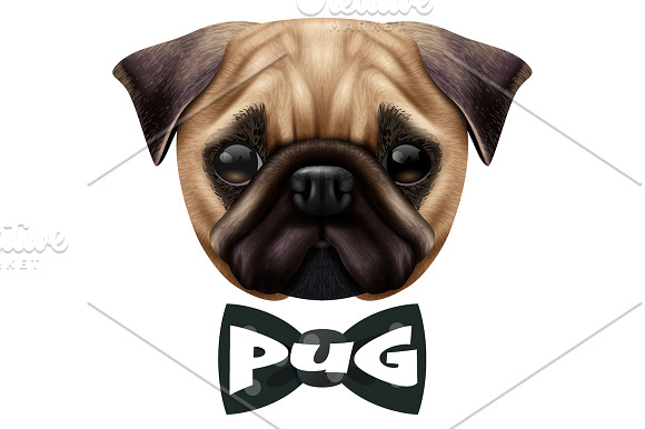Dog Portraits Realistic Set in Illustrations - product preview 1