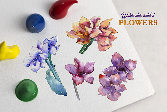 Amaryllis Watercolor png  in Illustrations - product preview 1