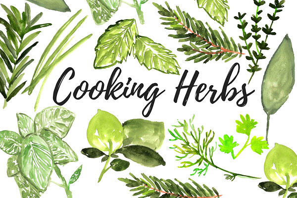 Watercolor cooking herb clipart