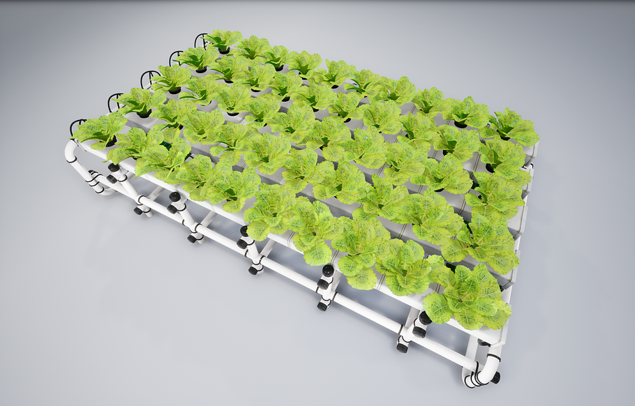 Hydroponics system LR in Nature - product preview 14