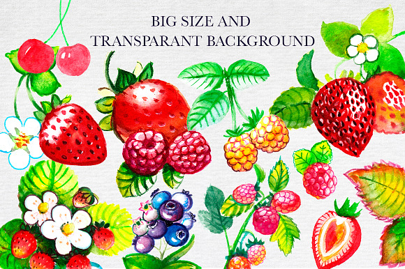 Berry. Big Watercolor Set. in Illustrations - product preview 5