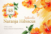 Naranja Hibiscus Watercolor png
