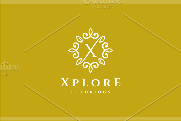 Letter X Luxury Logo in Logo Templates - product preview 2