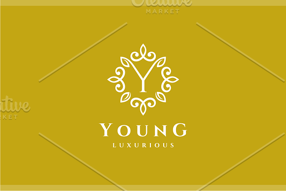 Letter Y Luxury Logo in Logo Templates - product preview 2