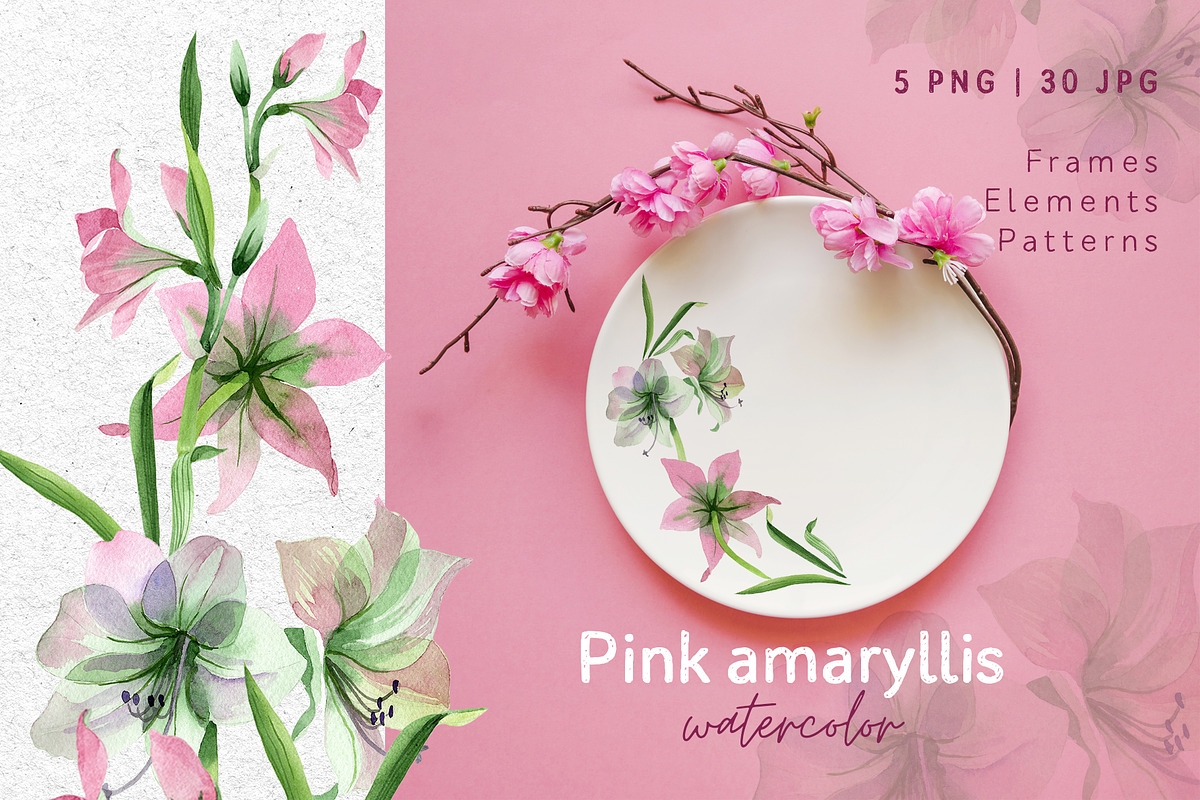 Pink amaryllis  Watercolor png in Illustrations - product preview 8