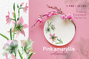 Pink amaryllis  Watercolor png