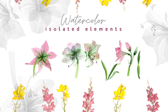 Pink amaryllis  Watercolor png in Illustrations - product preview 2