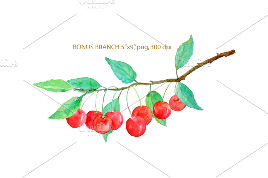 Watercolor Red Cherry Clipart