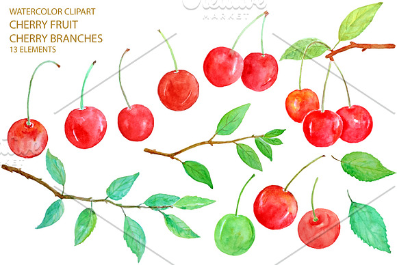 Watercolor Red Cherry Clipart in Illustrations - product preview 2